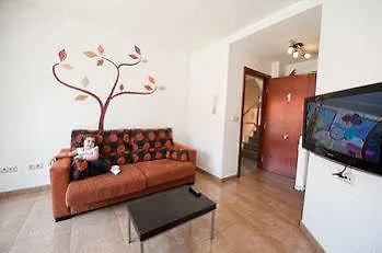 Vida * פיניסטרה