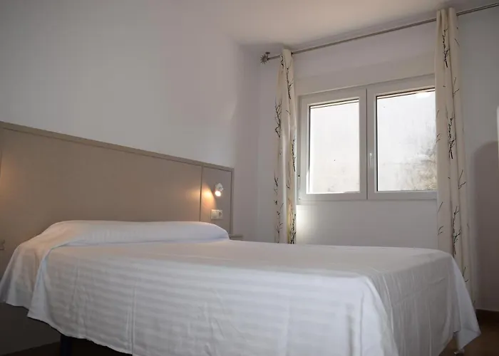 Vida 피니스테레